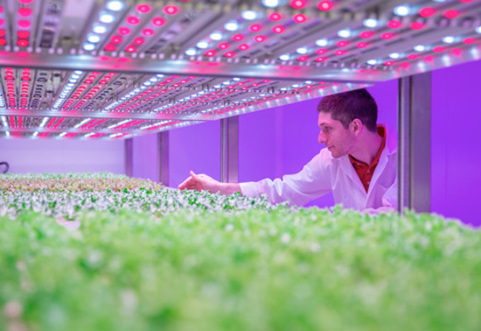 Making light work of growing food Making light work of growing food