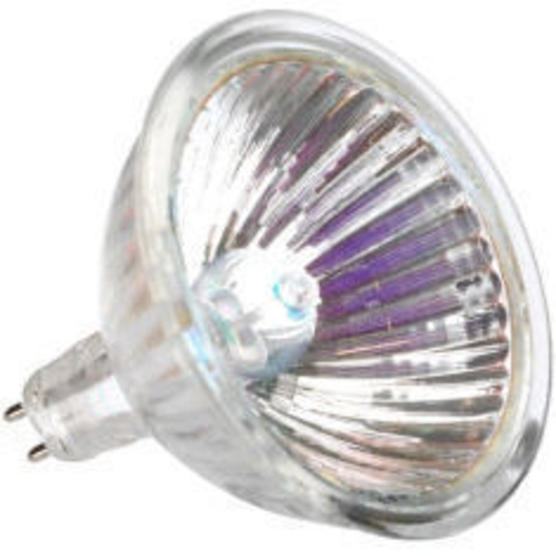 Spare Bulb Alex Light Halogen — Serious Readers Home of the World